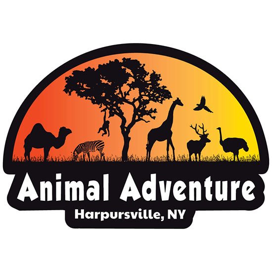 animal adventure llc target