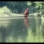 Michigan Bigfoot?