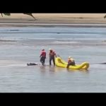 Guy Napping In River Mistaken For A Dead Body