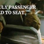 Passengers Tie Drunk Pervert To Airplane Seat