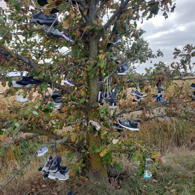 Shoe tree sale near me